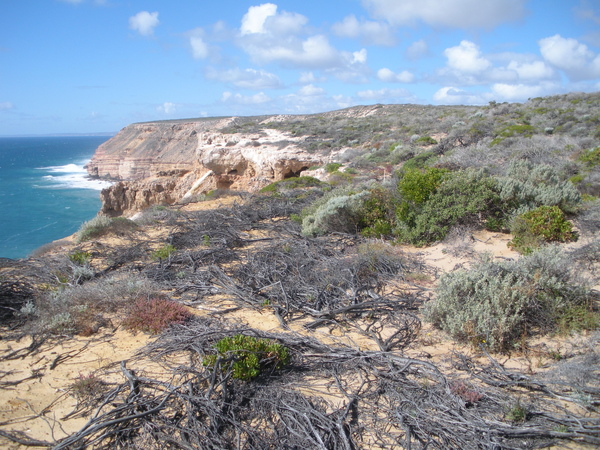 Natural Bridge-Kalbarri National Park