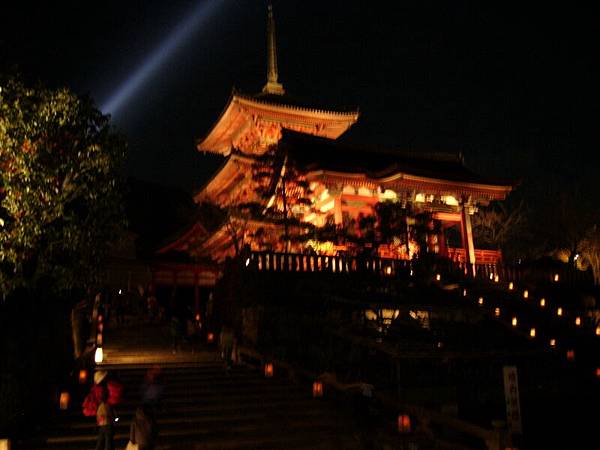 夜間清水寺