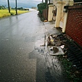 雨後的家門