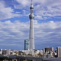 1東京晴空塔-鳥瞰大地