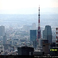 12東京晴空塔-鳥瞰大地