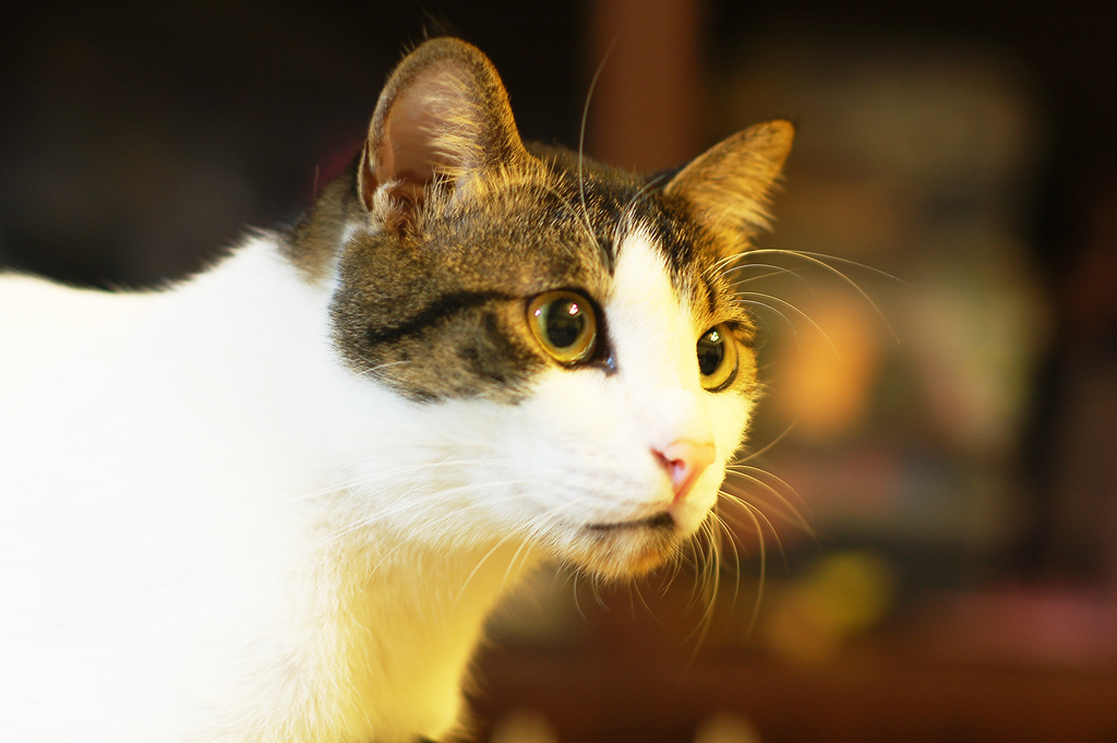 DSC_3621.JPG DSC_3621.JPG