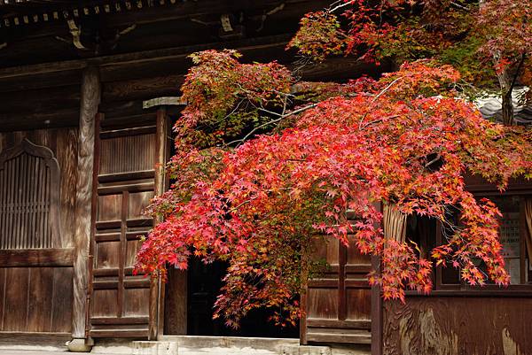 日本 京都 清涼寺