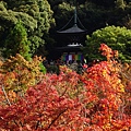 日本 京都 永觀堂