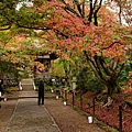 日本 京都 常寂光寺