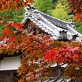 日本 京都 常寂光寺