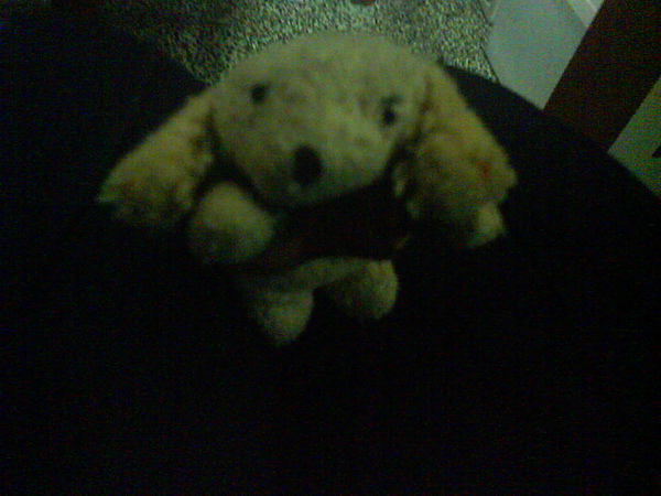DSC01066.JPG