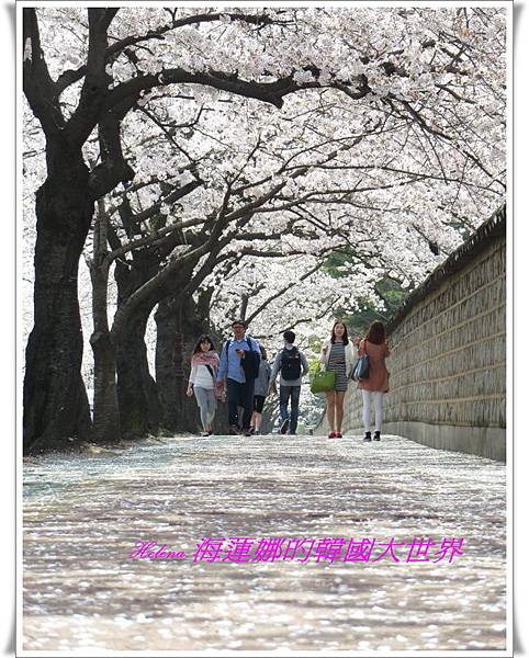 IMG_2750 IMG_2750