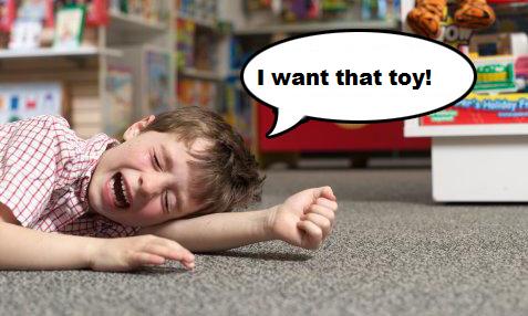 toy