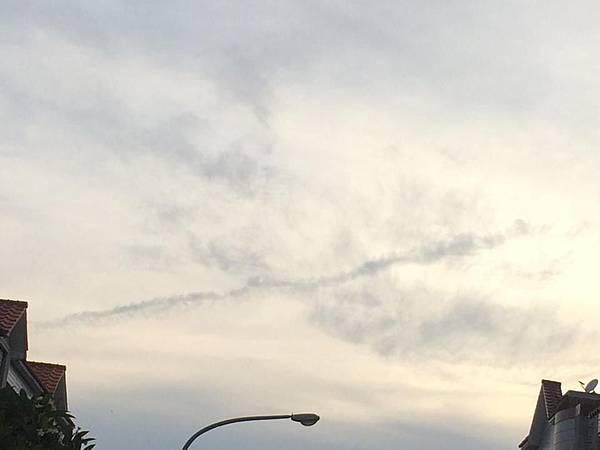鳥雲 鳥雲