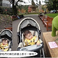 1Y 1M 3W princes stree and garden 02.jpg