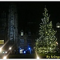 light up christmas tree 5.jpg