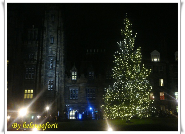 light up christmas tree 8.jpg