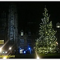 light up christmas tree 8.jpg