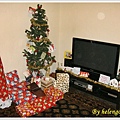 2009 christams presents.jpg