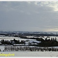 20100109snowy Pentland hills  8.jpg