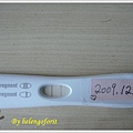 pregnancy test.JPG