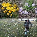 20100313 Edinburgh -Glasgow Canal 1.jpg