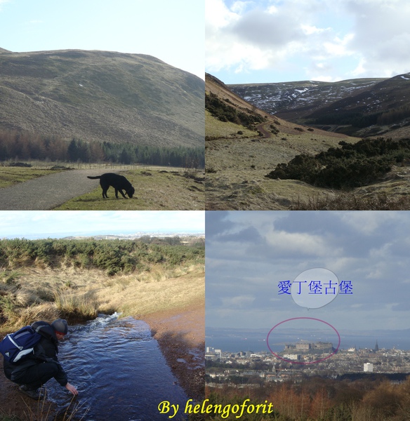 20100314 pentland hills with fedo.jpg