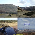 20100314 pentland hills with fedo.jpg