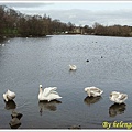 20100407 holyrood park (lake) 2.jpg