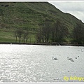 20100407 holyrood park (lake) 1.jpg