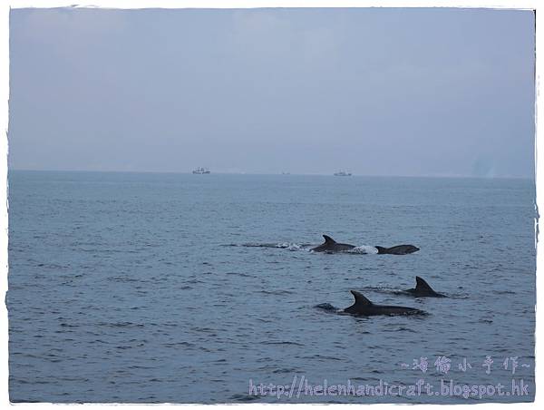 IMG_7127.JPG IMG_7127.JPG