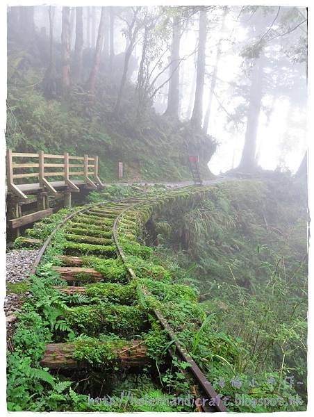 IMG_7438.JPG IMG_7438.JPG