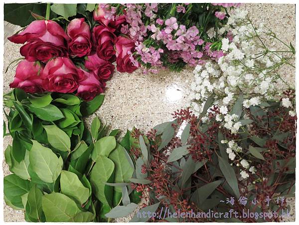 IMG_1442.JPG IMG_1442.JPG