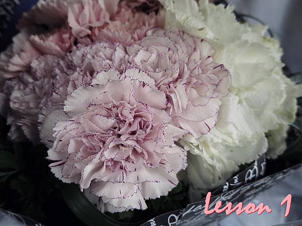 IMG_5152.jpg IMG_5152.jpg