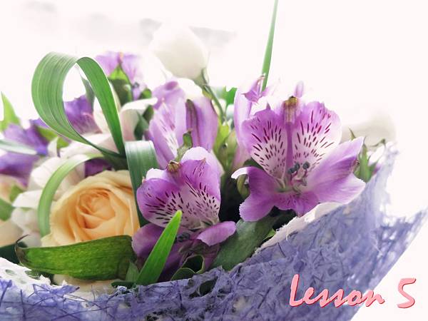 IMG_5774.jpg IMG_5774.jpg