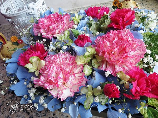 IMG_1645.JPG IMG_1645.JPG