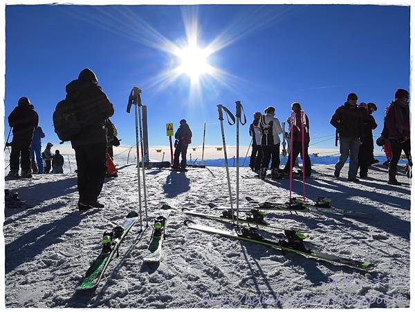 IMG_0342.JPG IMG_0342.JPG