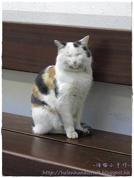 IMG_0594.JPG IMG_0594.JPG