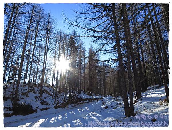 IMG_0479.JPG IMG_0479.JPG