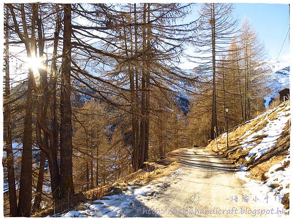 IMG_0463.JPG IMG_0463.JPG