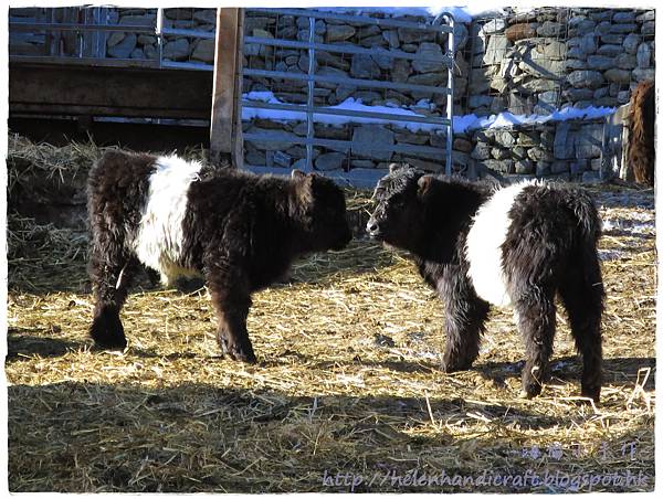 IMG_0493.JPG IMG_0493.JPG