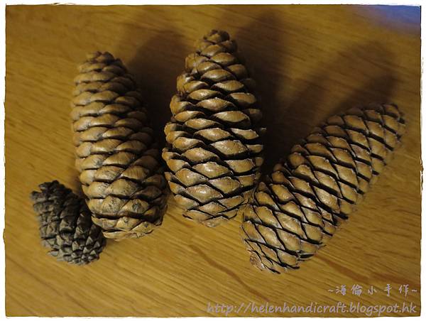 IMG_0509.JPG IMG_0509.JPG