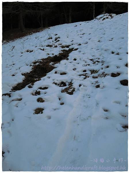 IMG_0499.JPG IMG_0499.JPG