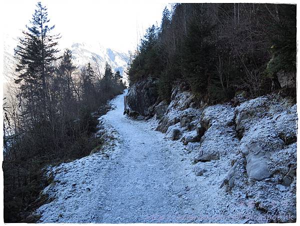 IMG_0683.JPG IMG_0683.JPG