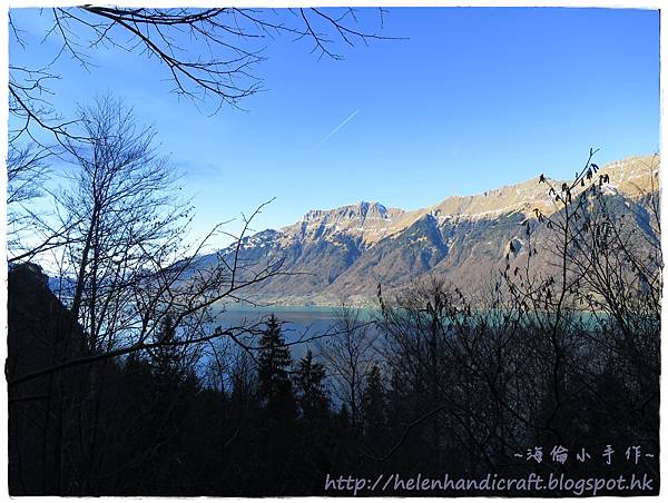 IMG_0708.JPG IMG_0708.JPG