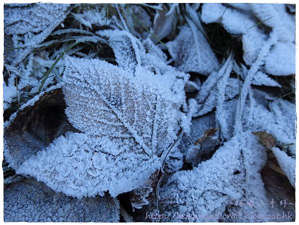 IMG_0679.JPG IMG_0679.JPG