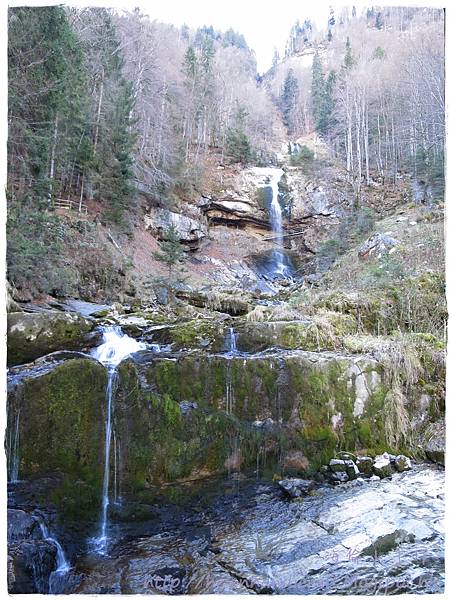 IMG_0727.JPG IMG_0727.JPG