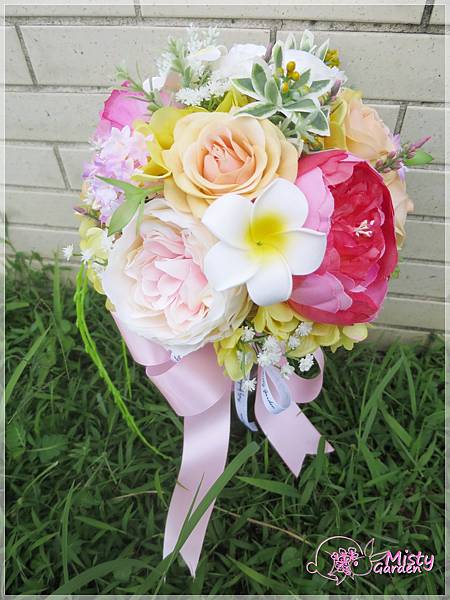 IMG_4446.JPG IMG_4446.JPG