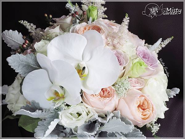 IMG_5933.JPG IMG_5933.JPG