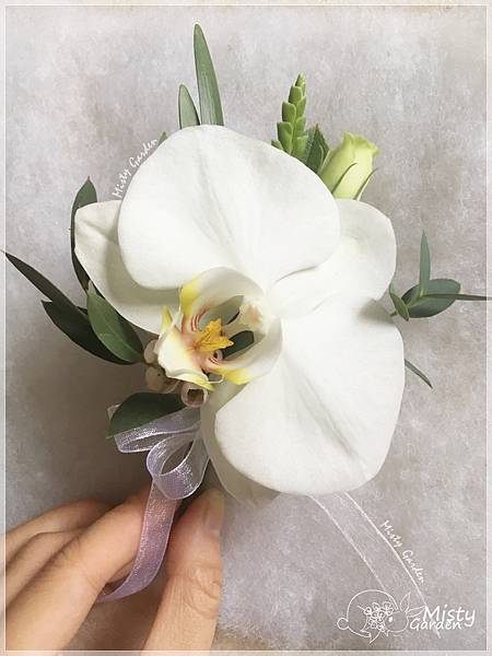 IMG_1896.JPG IMG_1896.JPG