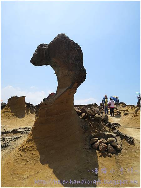 IMG_1725.JPG IMG_1725.JPG