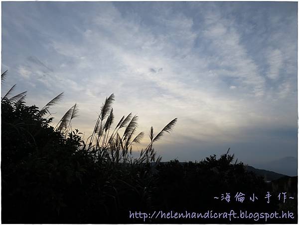 IMG_1638.JPG IMG_1638.JPG