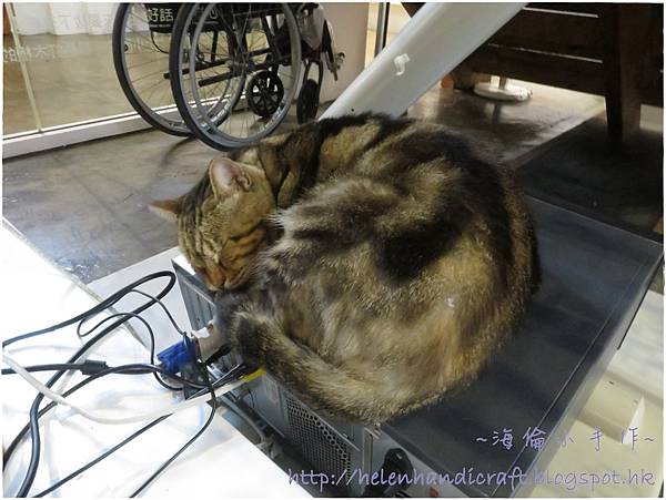 IMG_5450.JPG IMG_5450.JPG