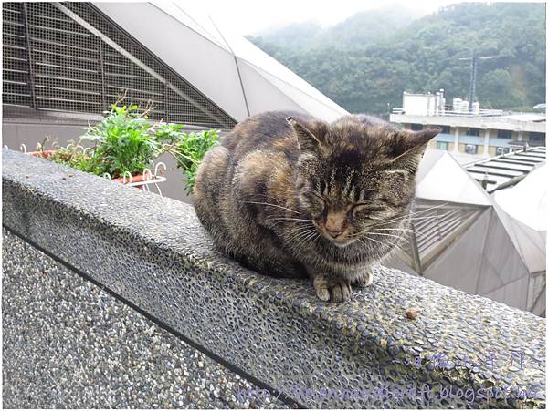 IMG_5459.JPG IMG_5459.JPG